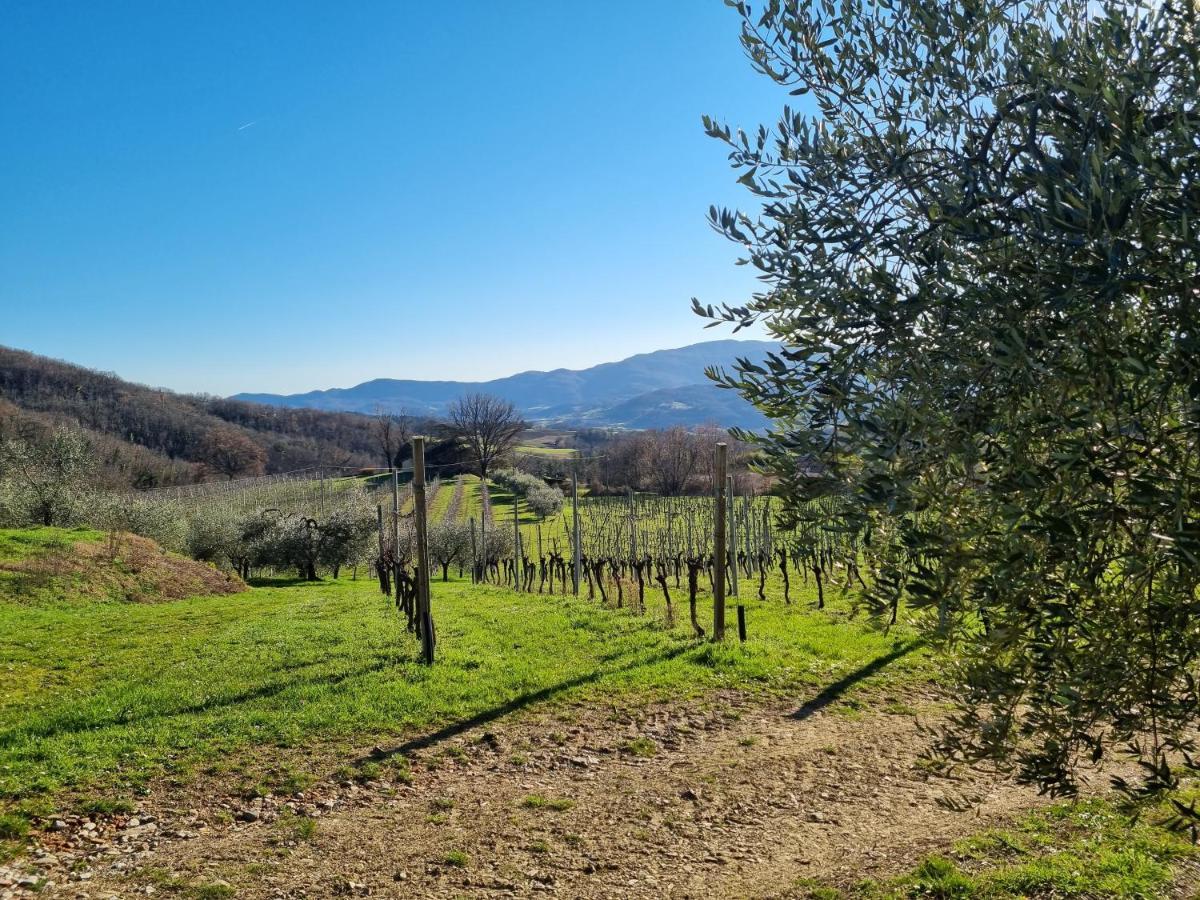 Walkandrace Sant'Agata  Bagian luar foto